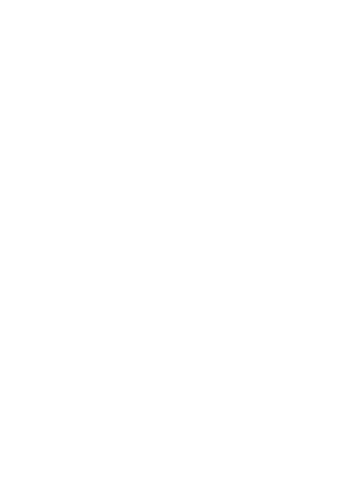 aihe, the dolphin